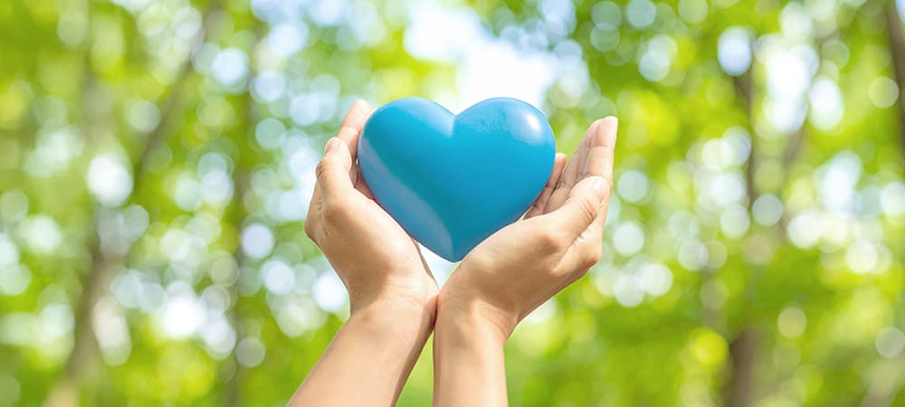 支援内容｜交通事故サポート支援協会